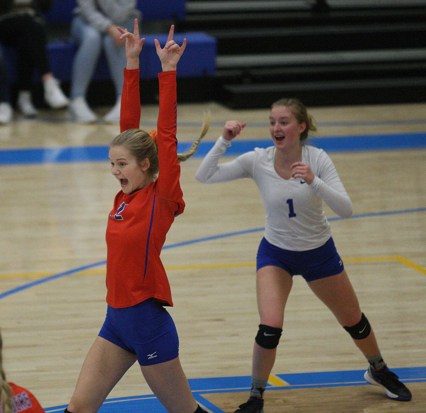 AO vs WL volleyball 19 10.23.17.jpg